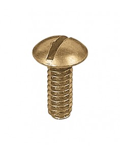 Tornillo bronce 5/32 x ½ tanque FV